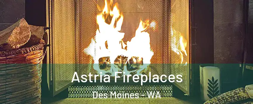  Astria Fireplaces Des Moines - WA
