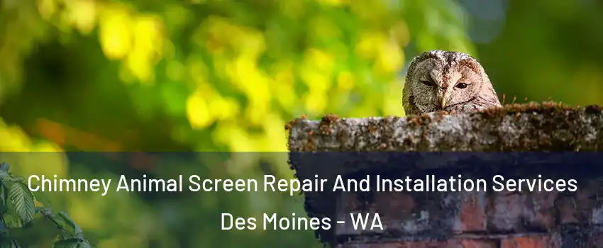  Chimney Animal Screen Repair And Installation Services Des Moines - WA