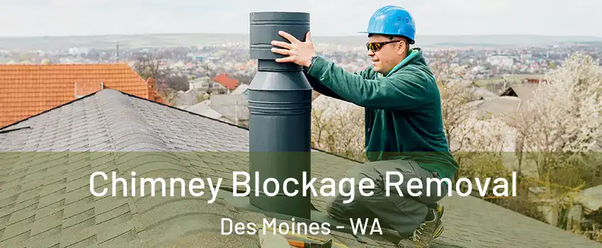  Chimney Blockage Removal Des Moines - WA