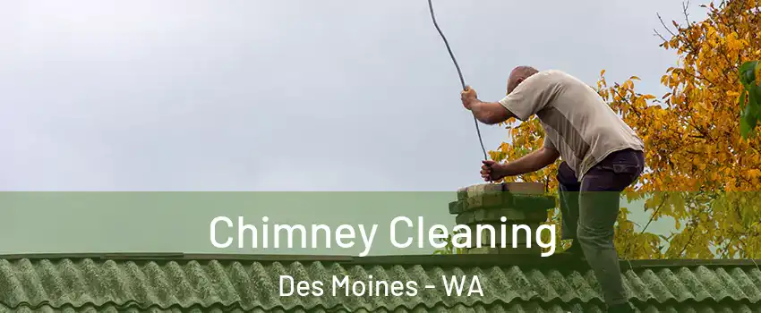  Chimney Cleaning Des Moines - WA
