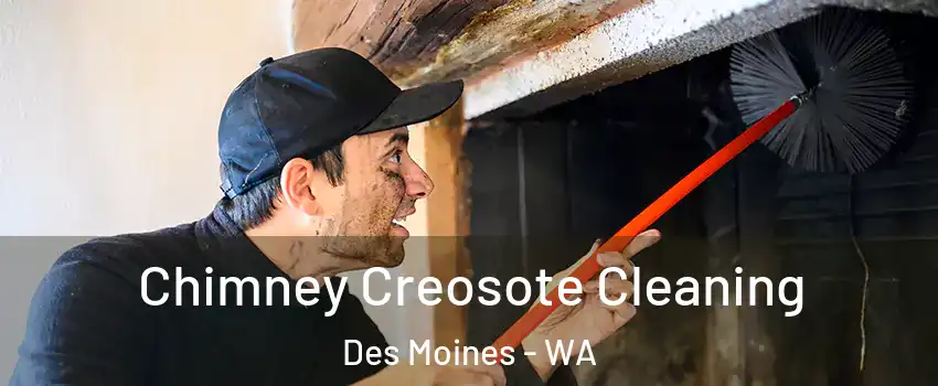  Chimney Creosote Cleaning Des Moines - WA