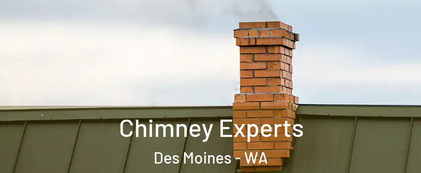 Chimney Experts Des Moines - WA