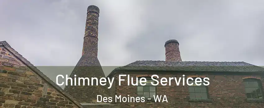  Chimney Flue Services Des Moines - WA
