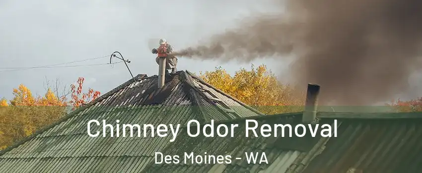  Chimney Odor Removal Des Moines - WA