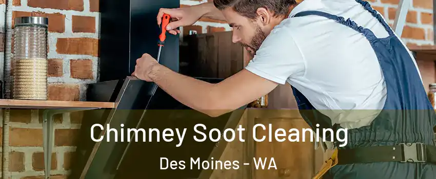  Chimney Soot Cleaning Des Moines - WA