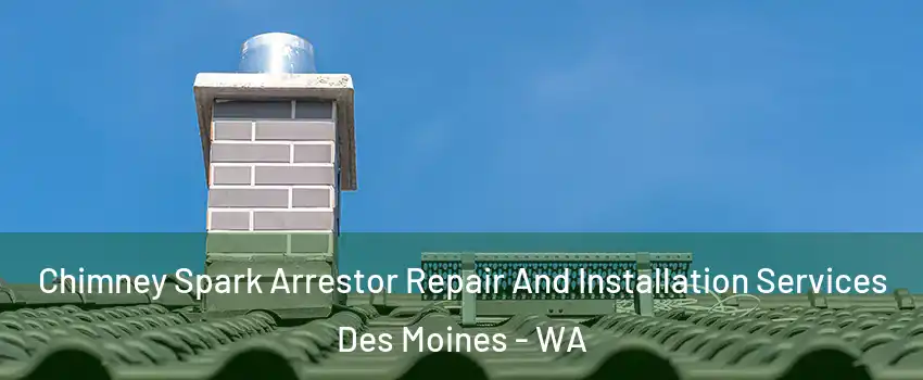  Chimney Spark Arrestor Repair And Installation Services Des Moines - WA