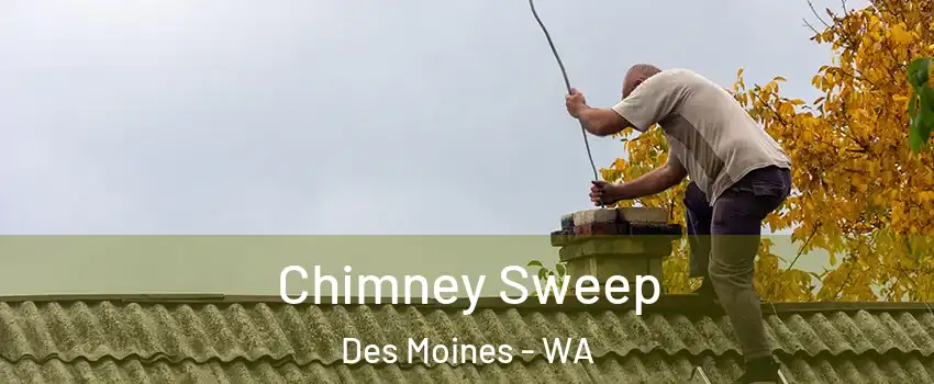  Chimney Sweep Des Moines - WA