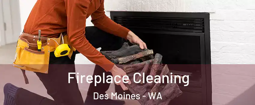 Fireplace Cleaning Des Moines - WA