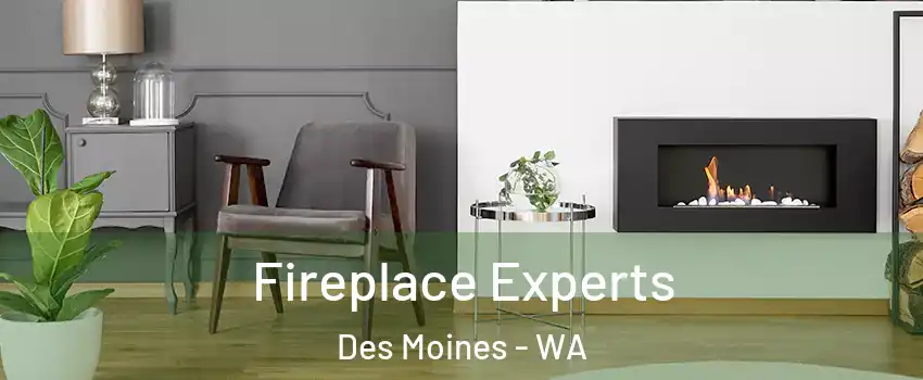  Fireplace Experts Des Moines - WA