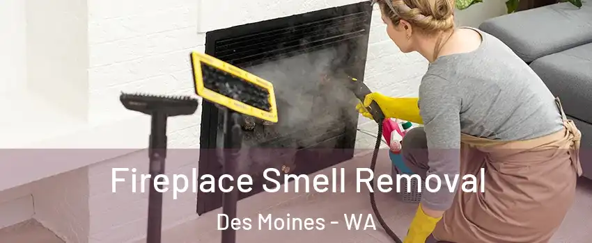  Fireplace Smell Removal Des Moines - WA