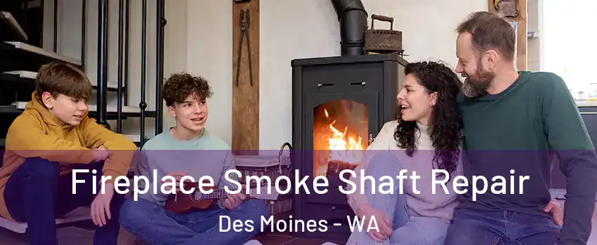  Fireplace Smoke Shaft Repair Des Moines - WA