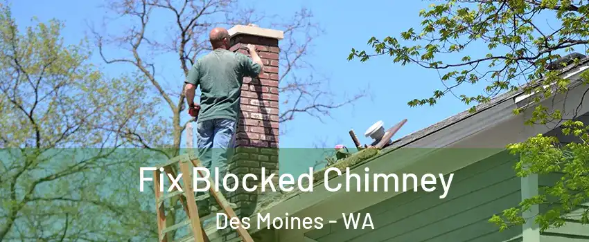  Fix Blocked Chimney Des Moines - WA