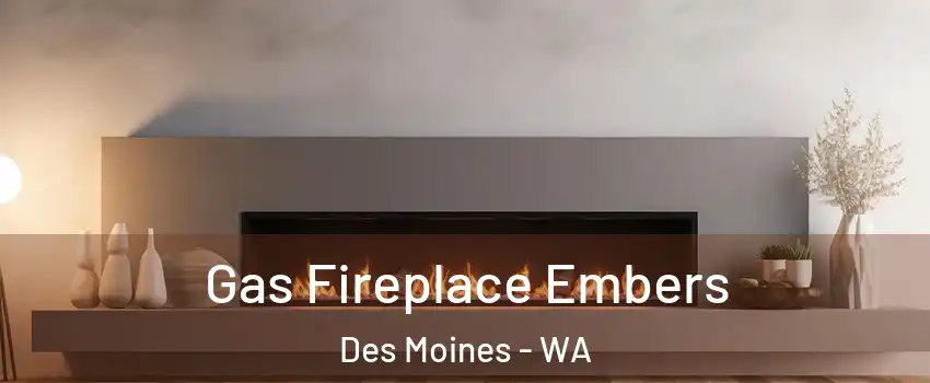  Gas Fireplace Embers Des Moines - WA