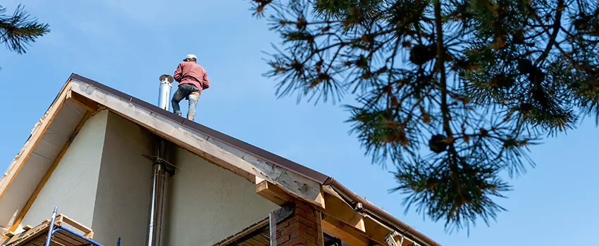 Birds Removal Contractors from Chimney in Des Moines, WA