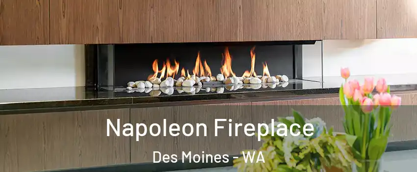  Napoleon Fireplace Des Moines - WA