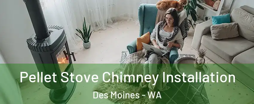 Pellet Stove Chimney Installation Des Moines - WA
