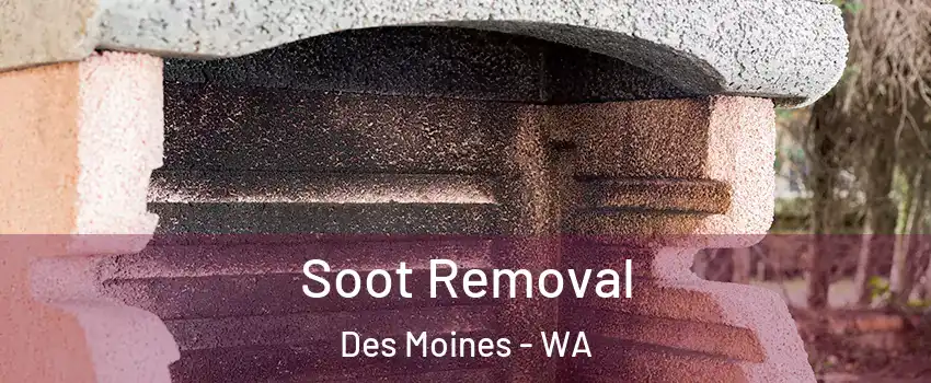  Soot Removal Des Moines - WA