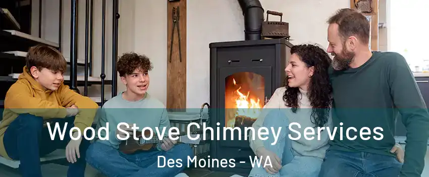  Wood Stove Chimney Services Des Moines - WA