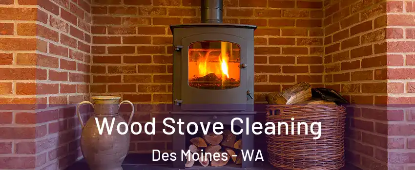  Wood Stove Cleaning Des Moines - WA
